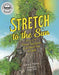 Stretch to the Sun: From a Tiny Sprout to the Tallest Tree on Earth - Hardcover | Diverse Reads
