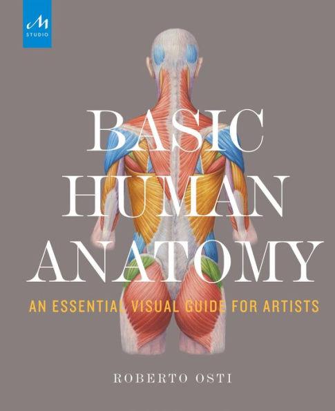 Basic Human Anatomy: An Essential Visual Guide for Artists - Hardcover | Diverse Reads