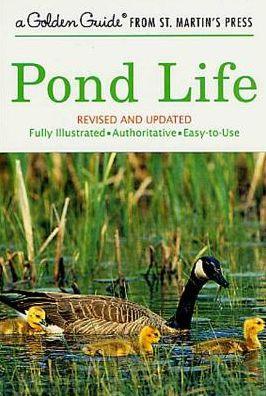 Pond Life: Revised and Updated - Paperback | Diverse Reads