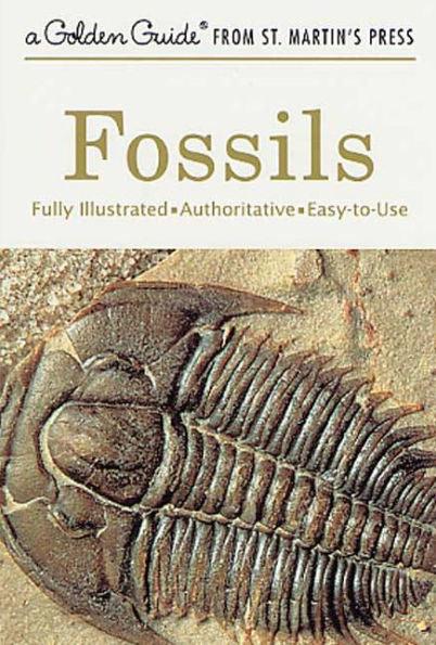 Fossils: A Fully Illustrated, Authoritative and Easy-to-Use Guide - Paperback | Diverse Reads