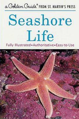 Seashore Life - Paperback | Diverse Reads