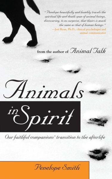 Animals in Spirit: Our faithful companions' transition to the afterlife - Paperback | Diverse Reads
