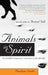 Animals in Spirit: Our faithful companions' transition to the afterlife - Paperback | Diverse Reads