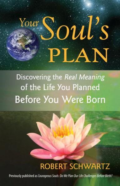 Your Soul's Plan: Discovering the Real Meaning of the Life You Planned Before You Were Born - Paperback | Diverse Reads