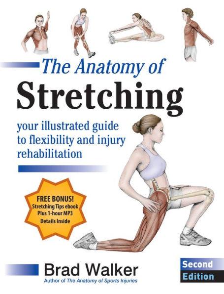 The Anatomy of Stretching, Second Edition: Your Illustrated Guide to Flexibility and Injury Rehabilitation - Paperback | Diverse Reads