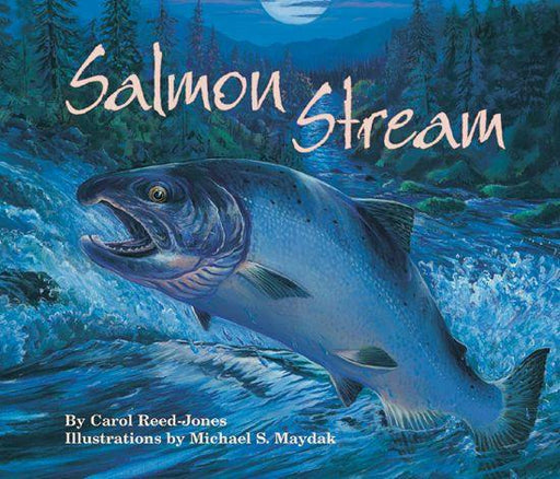 Salmon Stream - Paperback | Diverse Reads
