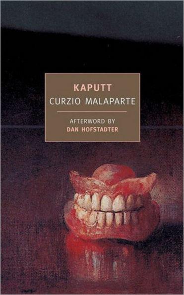 Kaputt - Paperback | Diverse Reads