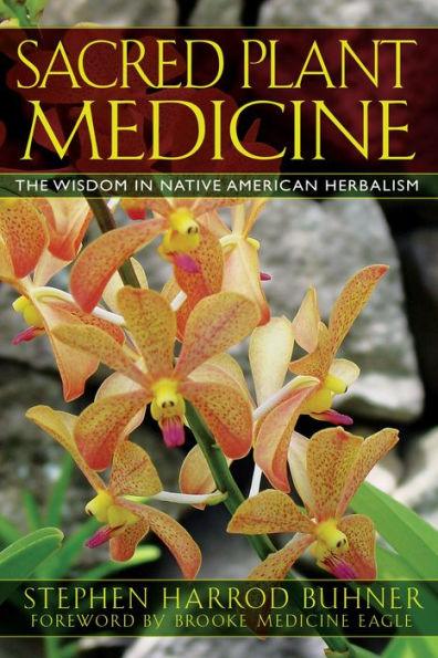 Sacred Plant Medicine: The Wisdom in Native American Herbalism - Paperback | Diverse Reads