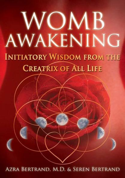 Womb Awakening: Initiatory Wisdom from the Creatrix of All Life - Paperback | Diverse Reads