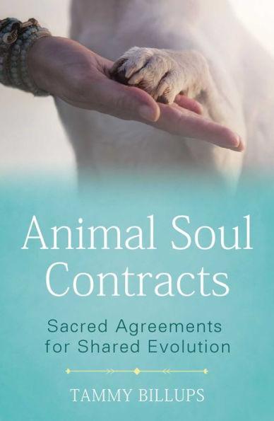 Animal Soul Contracts: Sacred Agreements for Shared Evolution - Paperback | Diverse Reads