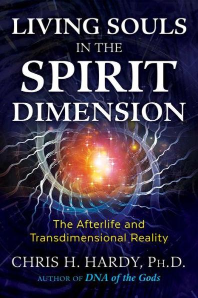 Living Souls in the Spirit Dimension: The Afterlife and Transdimensional Reality - Paperback | Diverse Reads