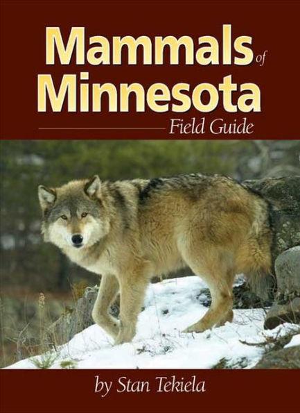Mammals of Minnesota Field Guide - Paperback | Diverse Reads