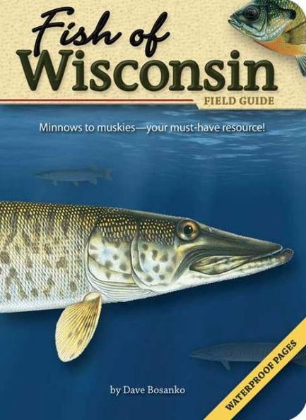 Fish of Wisconsin Field Guide - Paperback | Diverse Reads