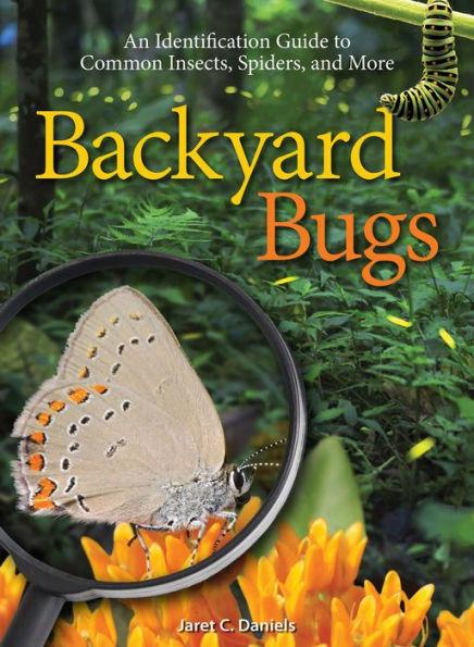 Backyard Bugs: An Identification Guide to Common Insects, Spiders, and More - Paperback | Diverse Reads