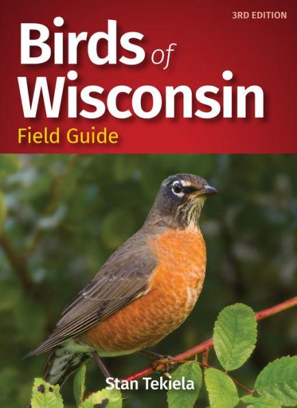 Birds of Wisconsin Field Guide - Paperback | Diverse Reads