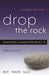Drop the Rock: Removing Character Defects - Steps Six and Seven - Paperback | Diverse Reads