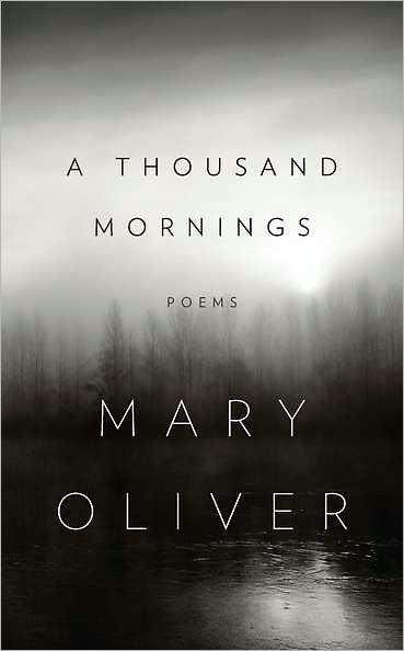 A Thousand Mornings - Hardcover | Diverse Reads