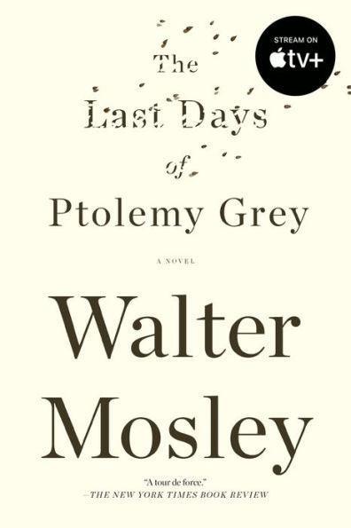 The Last Days of Ptolemy Grey: A Novel - Paperback | Diverse Reads