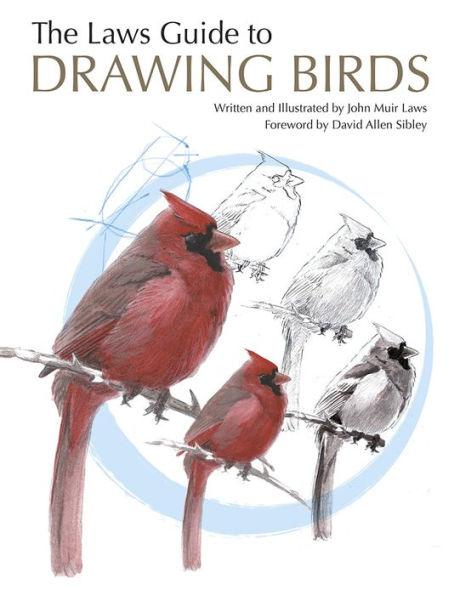 The Laws Guide to Drawing Birds - Paperback | Diverse Reads