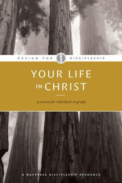 Your Life in Christ - Paperback | Diverse Reads