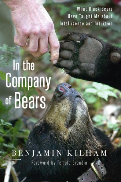 In the Company of Bears: What Black Bears Have Taught Me about Intelligence and Intuition - Paperback | Diverse Reads