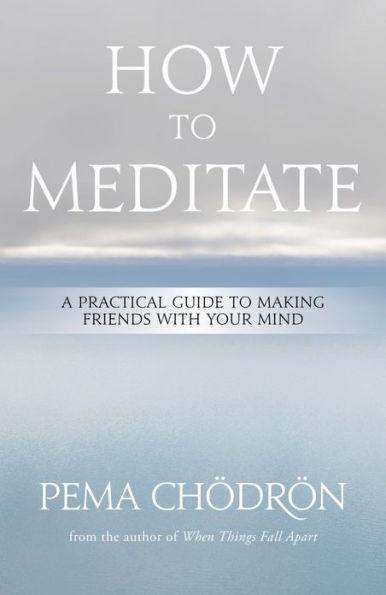 How to Meditate: A Practical Guide to Making Friends with Your Mind - Hardcover | Diverse Reads