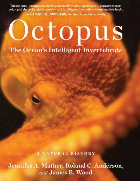 Octopus: The Ocean's Intelligent Invertebrate - Hardcover | Diverse Reads