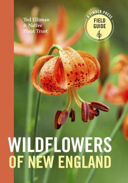 Wildflowers of New England - Paperback | Diverse Reads