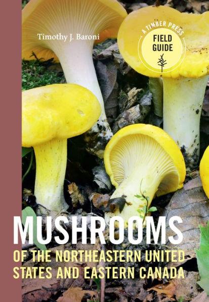 Mushrooms of the Northeastern United States and Eastern Canada - Paperback | Diverse Reads