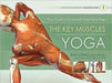 The Key Muscles of Yoga: Your Guide to Functional Anatomy in Yoga - Paperback | Diverse Reads