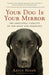 Your Dog Is Your Mirror: The Emotional Capacity of Our Dogs and Ourselves - Paperback | Diverse Reads