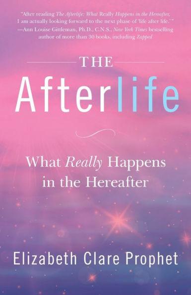 The Afterlife: What Really Happens in the Hereafter - Paperback | Diverse Reads