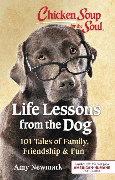 Chicken Soup for the Soul: Life Lessons from the Dog: 101 Tales of Family, Friendship & Fun - Paperback | Diverse Reads