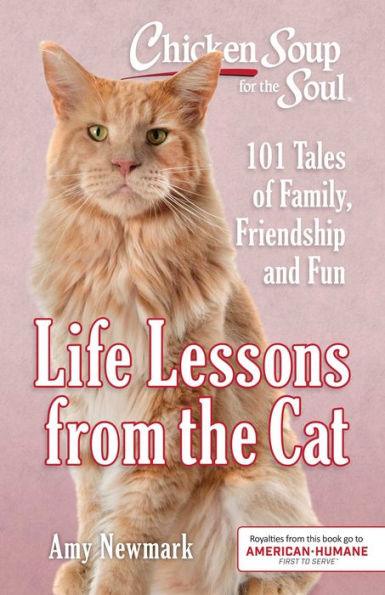 Chicken Soup for the Soul: Life Lessons from the Cat: 101 Tales of Family, Friendship and Fun - Paperback | Diverse Reads