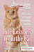 Chicken Soup for the Soul: Life Lessons from the Cat: 101 Tales of Family, Friendship and Fun - Paperback | Diverse Reads