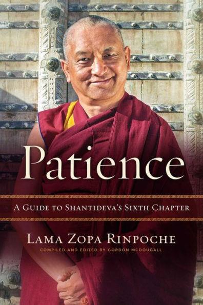Patience: A Guide to Shantideva's Sixth Chapter - Paperback | Diverse Reads