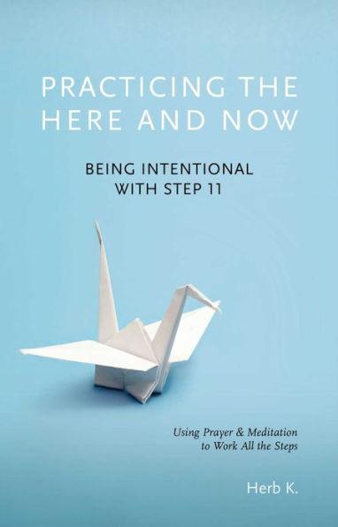 Practicing the Here and Now: Being Intentional with Step 11, Using Prayer & Meditation to Work All the Steps - Paperback | Diverse Reads