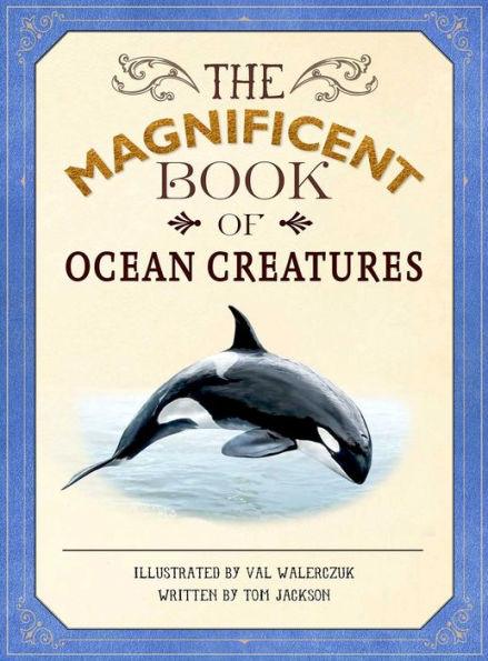 The Magnificent Book of Ocean Creatures - Hardcover | Diverse Reads