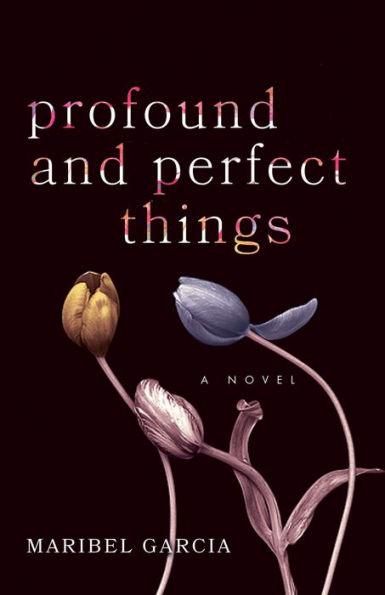 Profound and Perfect Things: A Novel
