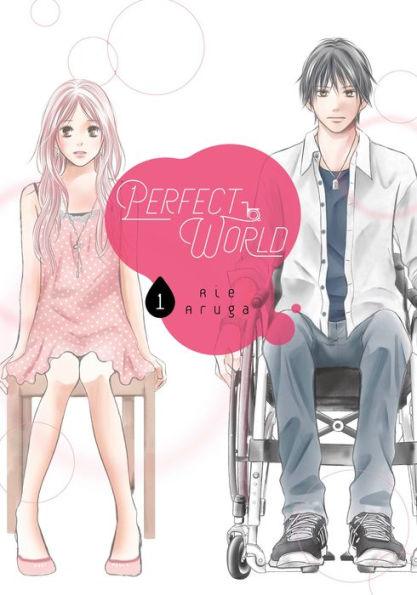 Perfect World, Volume 1 - Paperback | Diverse Reads