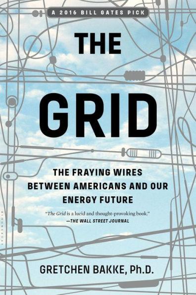 The Grid: The Fraying Wires Between Americans and Our Energy Future - Paperback | Diverse Reads