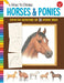 How to Draw Horses & Ponies: Step-by-step instructions for 20 different breeds - Paperback | Diverse Reads