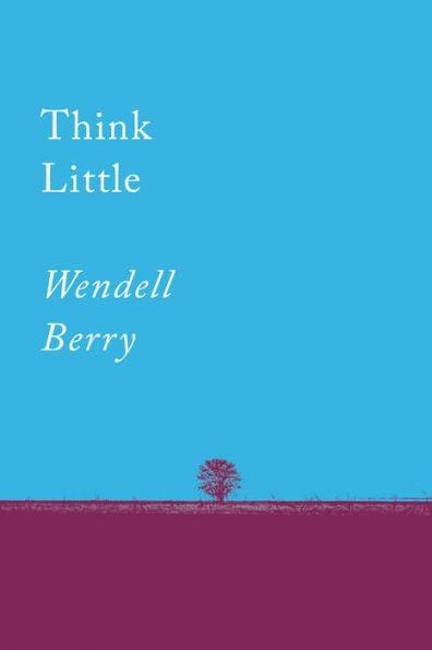 Think Little: Essays - Paperback | Diverse Reads