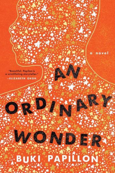 An Ordinary Wonder: A Novel - Diverse Reads