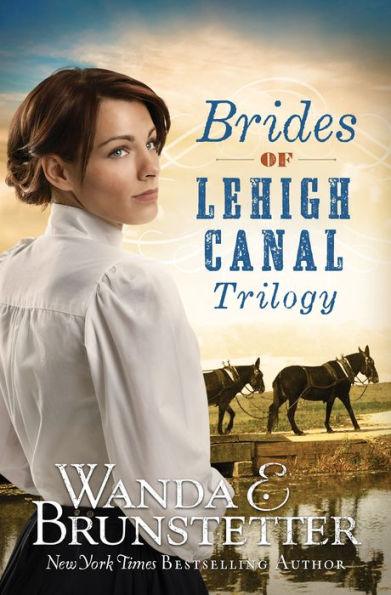 Brides of Lehigh Canal Trilogy - Paperback | Diverse Reads