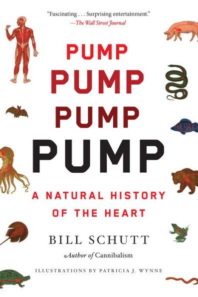 Pump: A Natural History of the Heart - Paperback | Diverse Reads