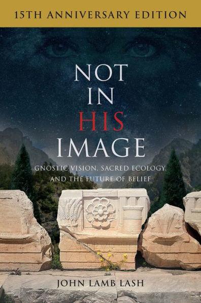 Not in His Image (15th Anniversary Edition): Gnostic Vision, Sacred Ecology, and the Future of Belief - Paperback | Diverse Reads