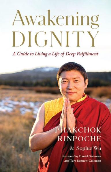 Awakening Dignity: A Guide to Living a Life of Deep Fulfillment - Paperback | Diverse Reads