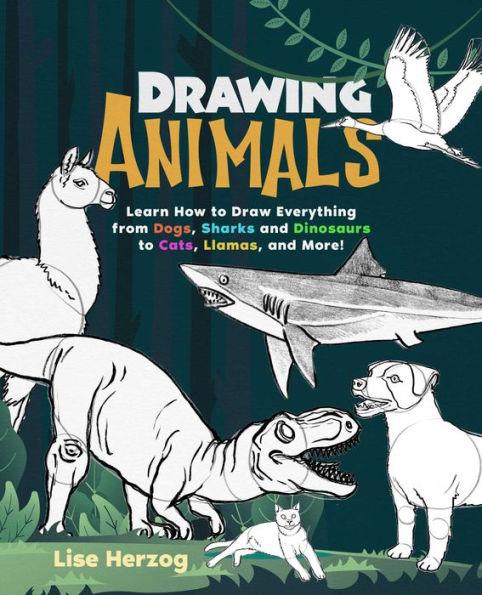 Drawing Animals: Learn How to Draw Everything from Dogs, Sharks, and Dinosaurs to Cats, Llamas, and More! - Paperback | Diverse Reads