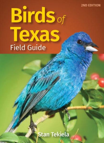 Birds of Texas Field Guide - Paperback | Diverse Reads